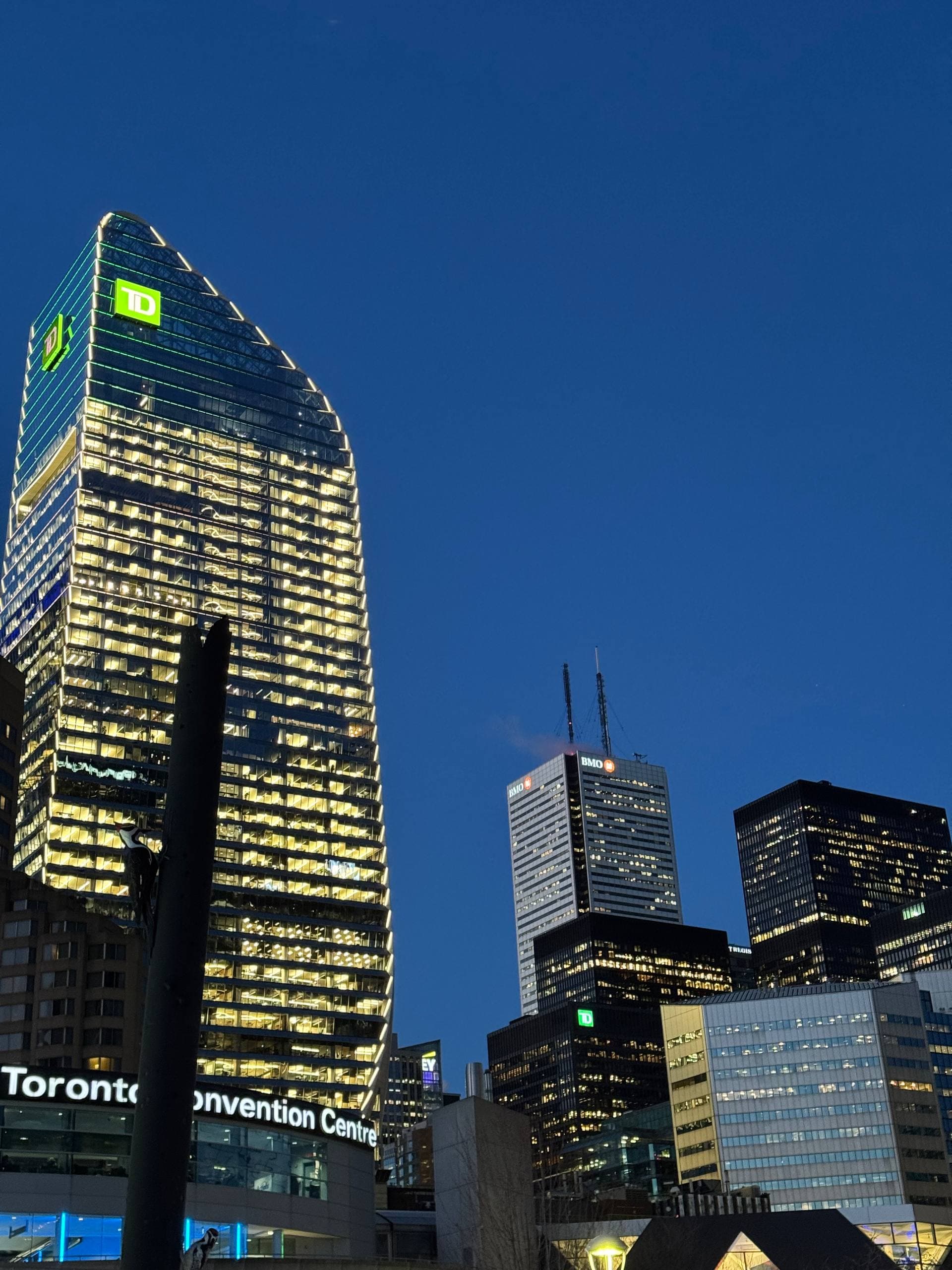 Toronto Skyscrapers