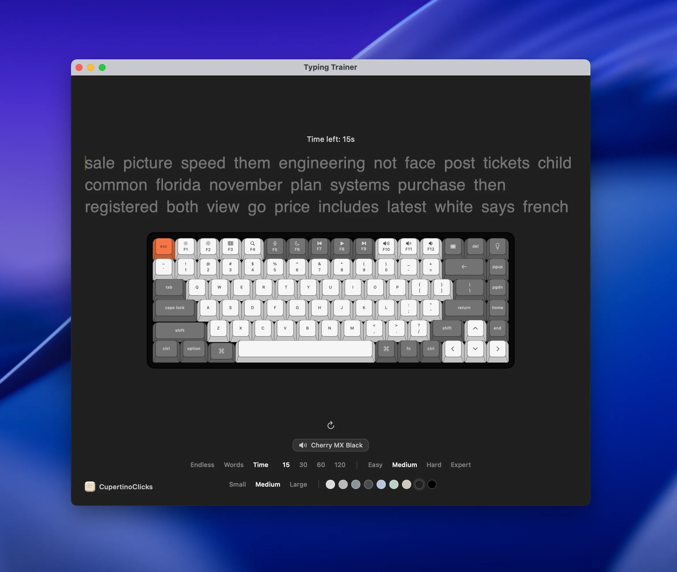 Embedded Typing Trainer